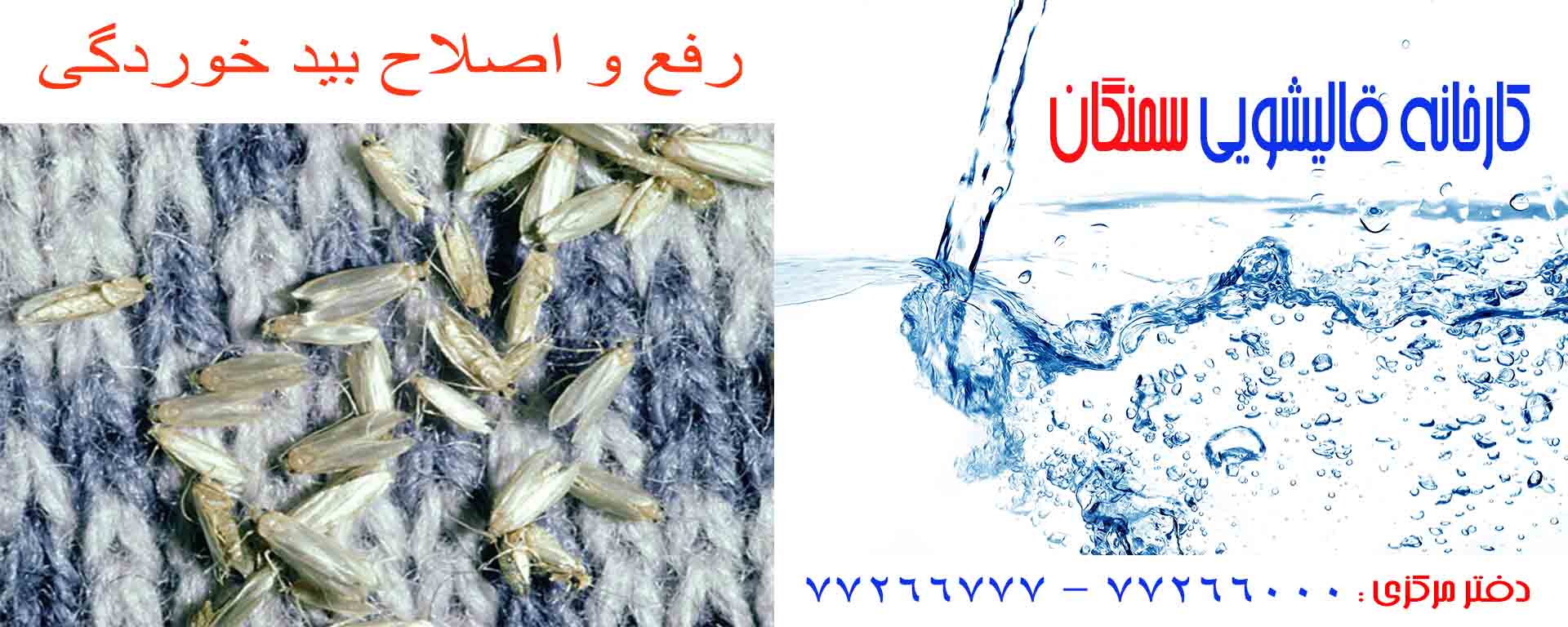 بید خوردگی فرش دستباف